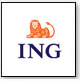 www.ing.com.mx 