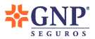 www.gnp.com.mx 